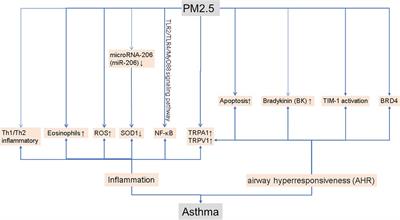 The relationship between PM2.5 and the onset and exacerbation of childhood asthma: a short communication